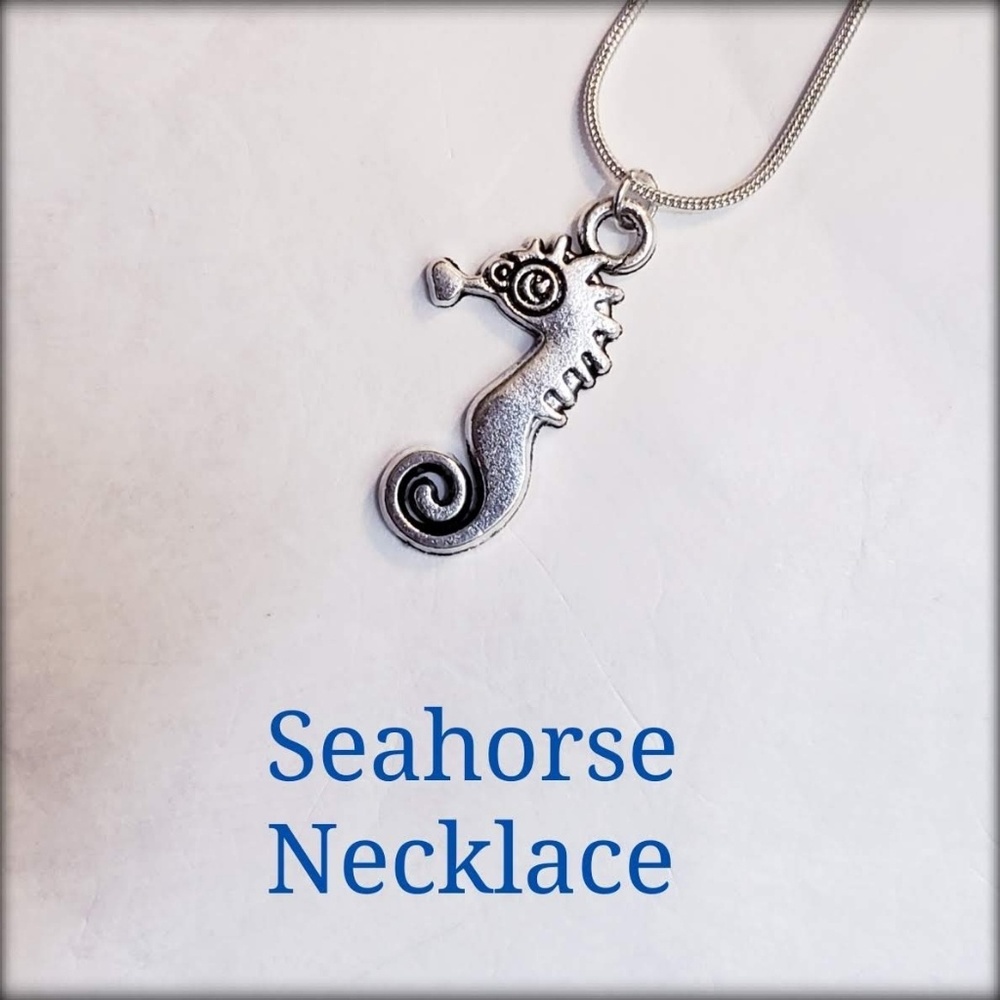 Sterling Silver Chain and Silver Tone Pendant